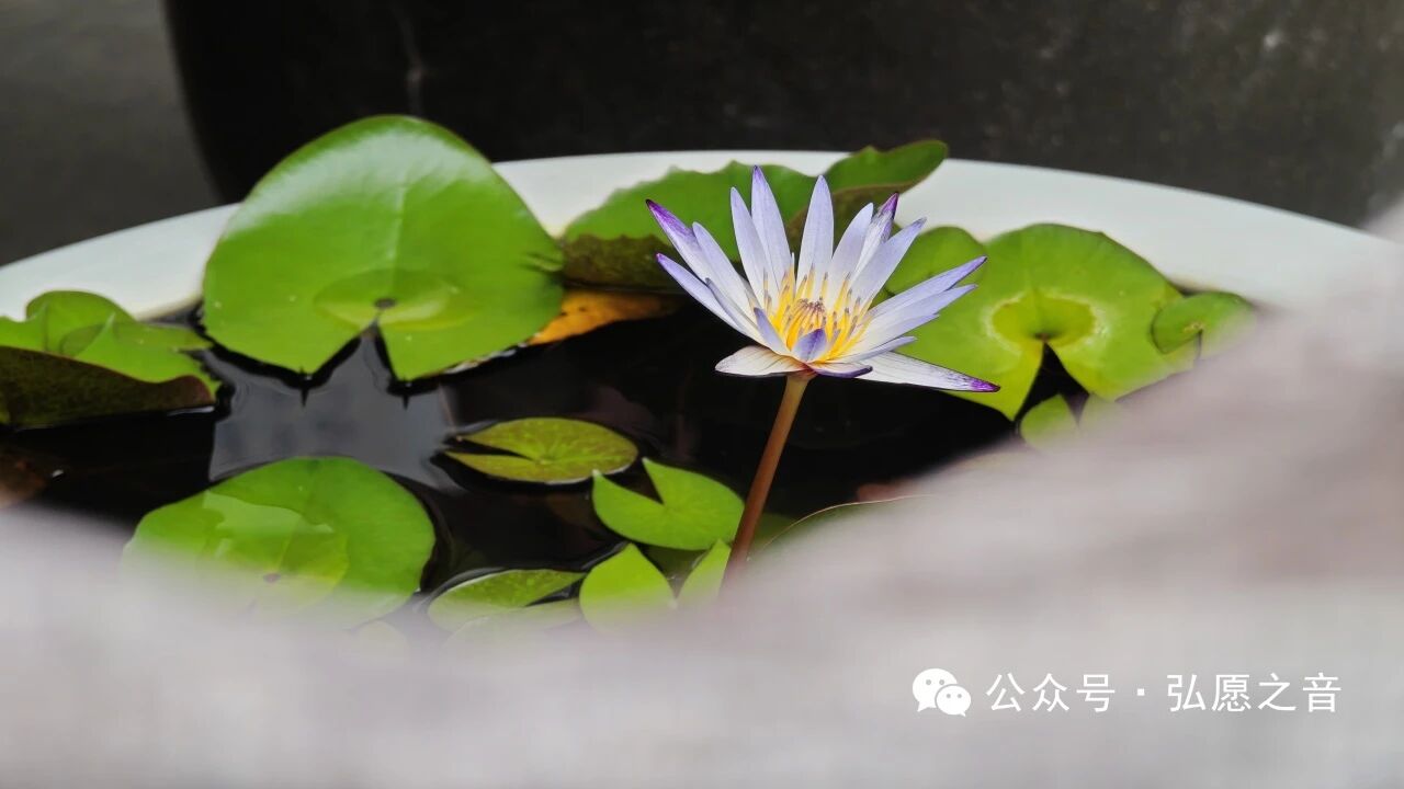 修行不是躲清闲