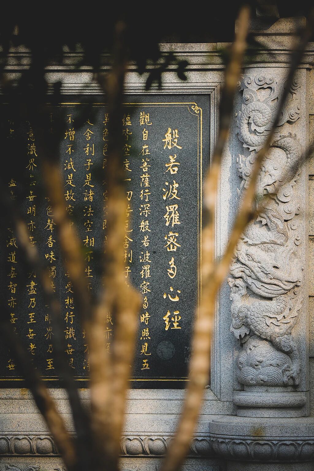 不困失意，自见 “宝藏”