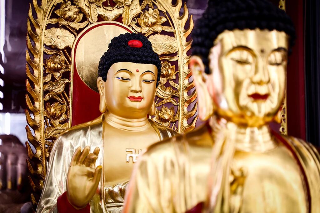 惜福免耗，种福得安