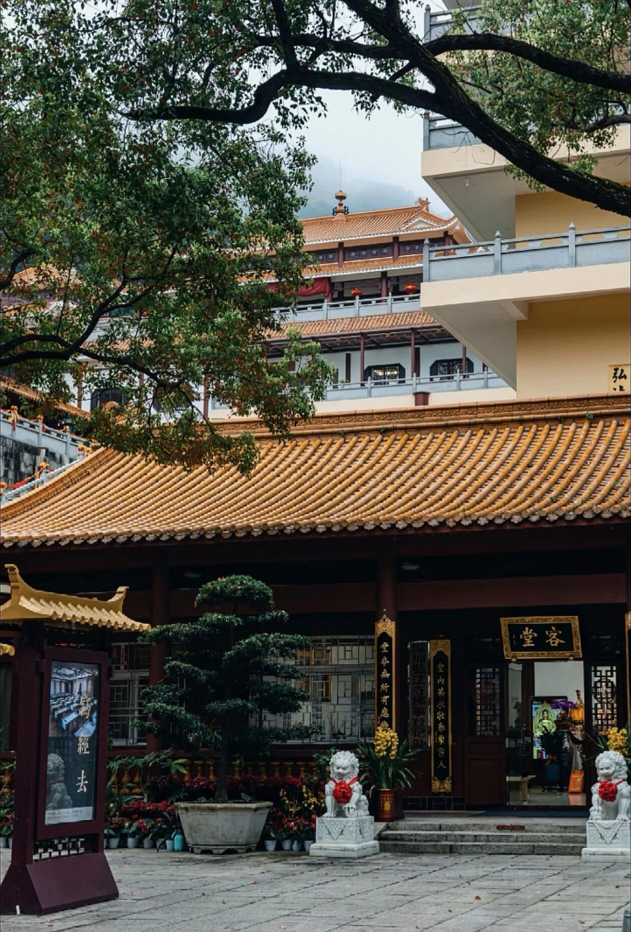 忍他让他，藏着修行的大智慧