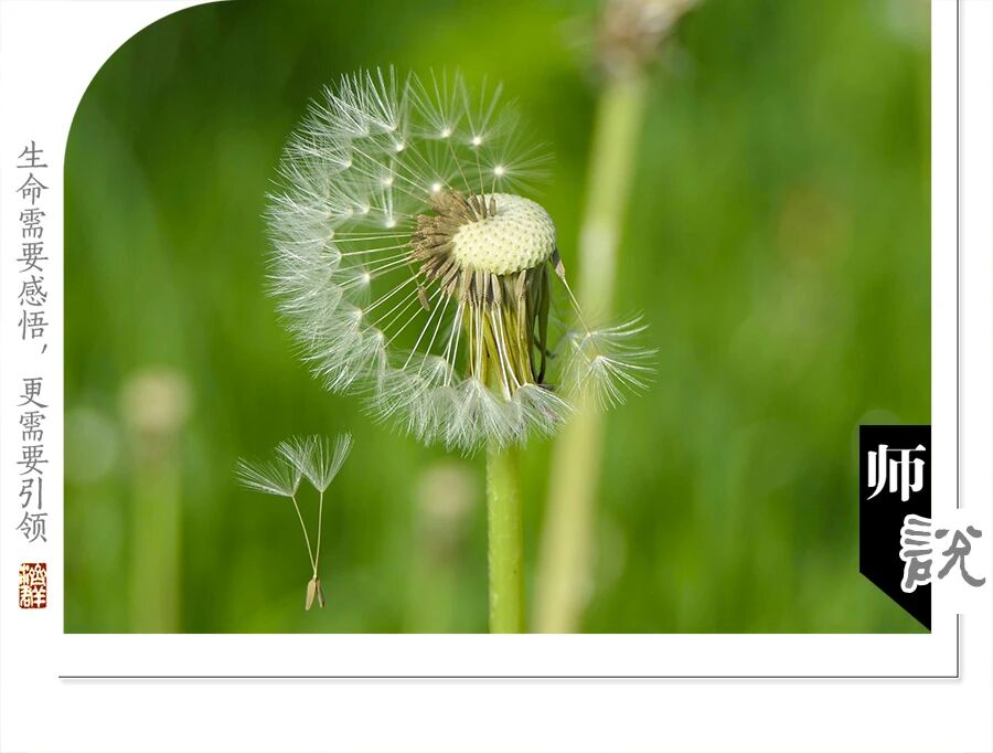 济群法师：别让这阵风，吹乱了你的心