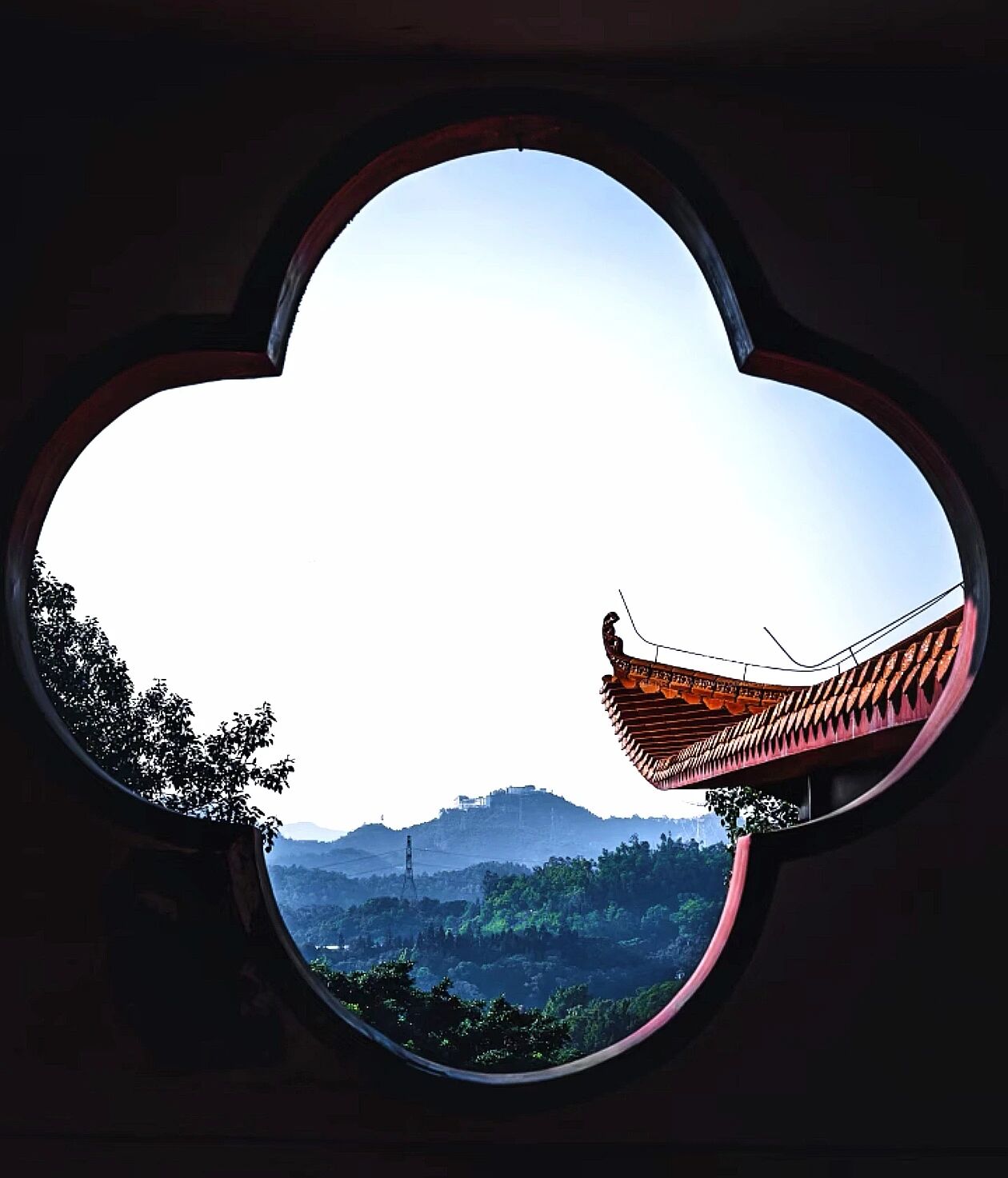 藏在日常中的幸福智慧