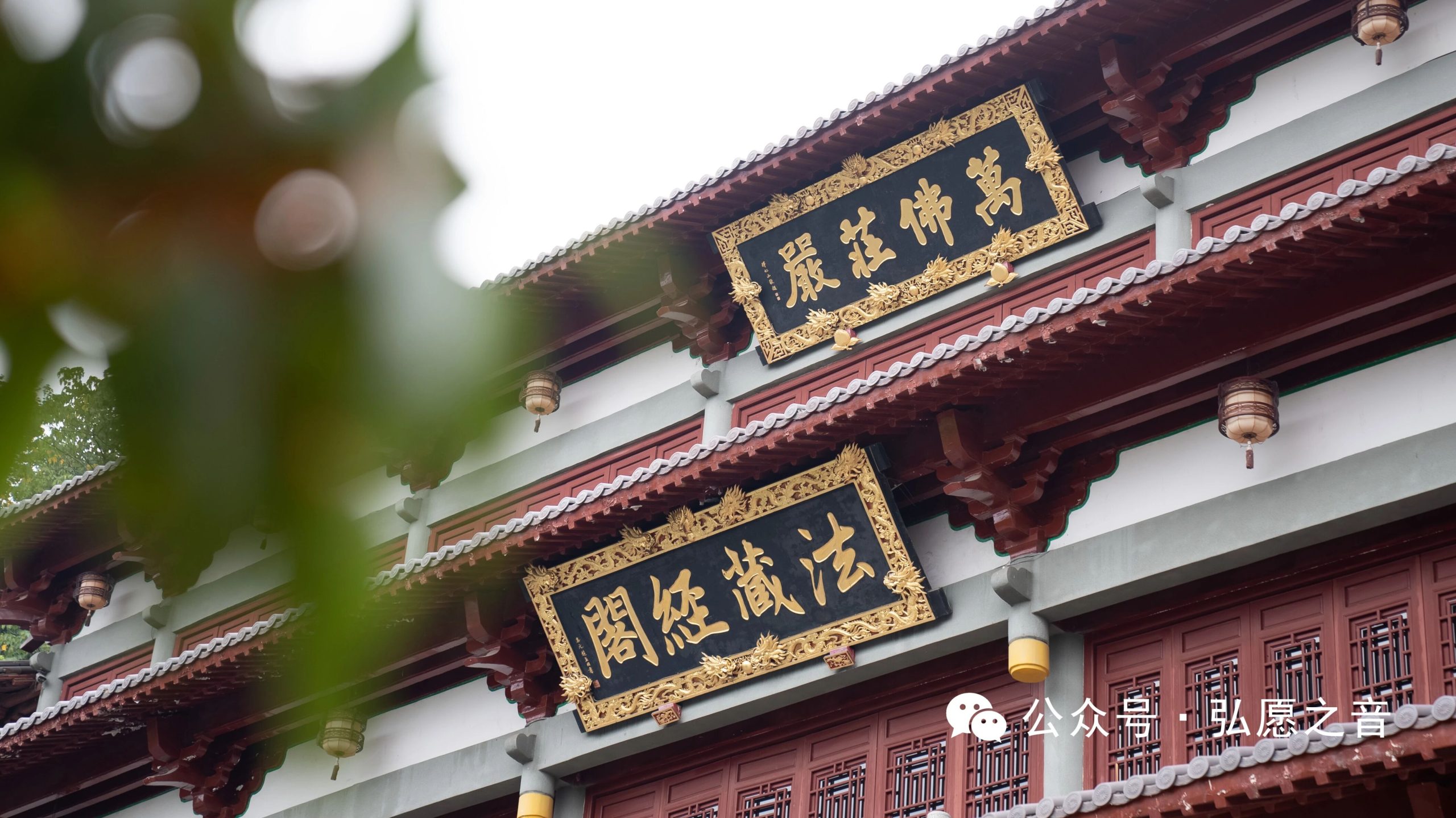 精进是为了淡化烦恼