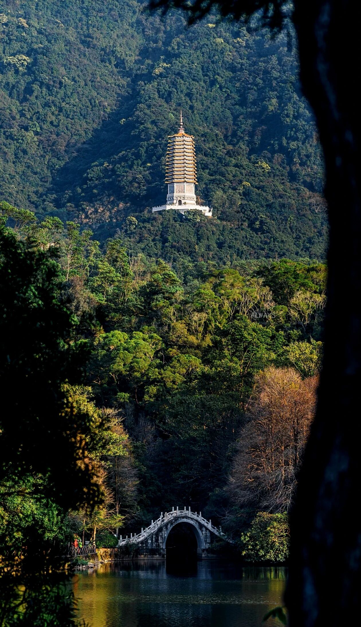 钝感力是治愈生活的良药