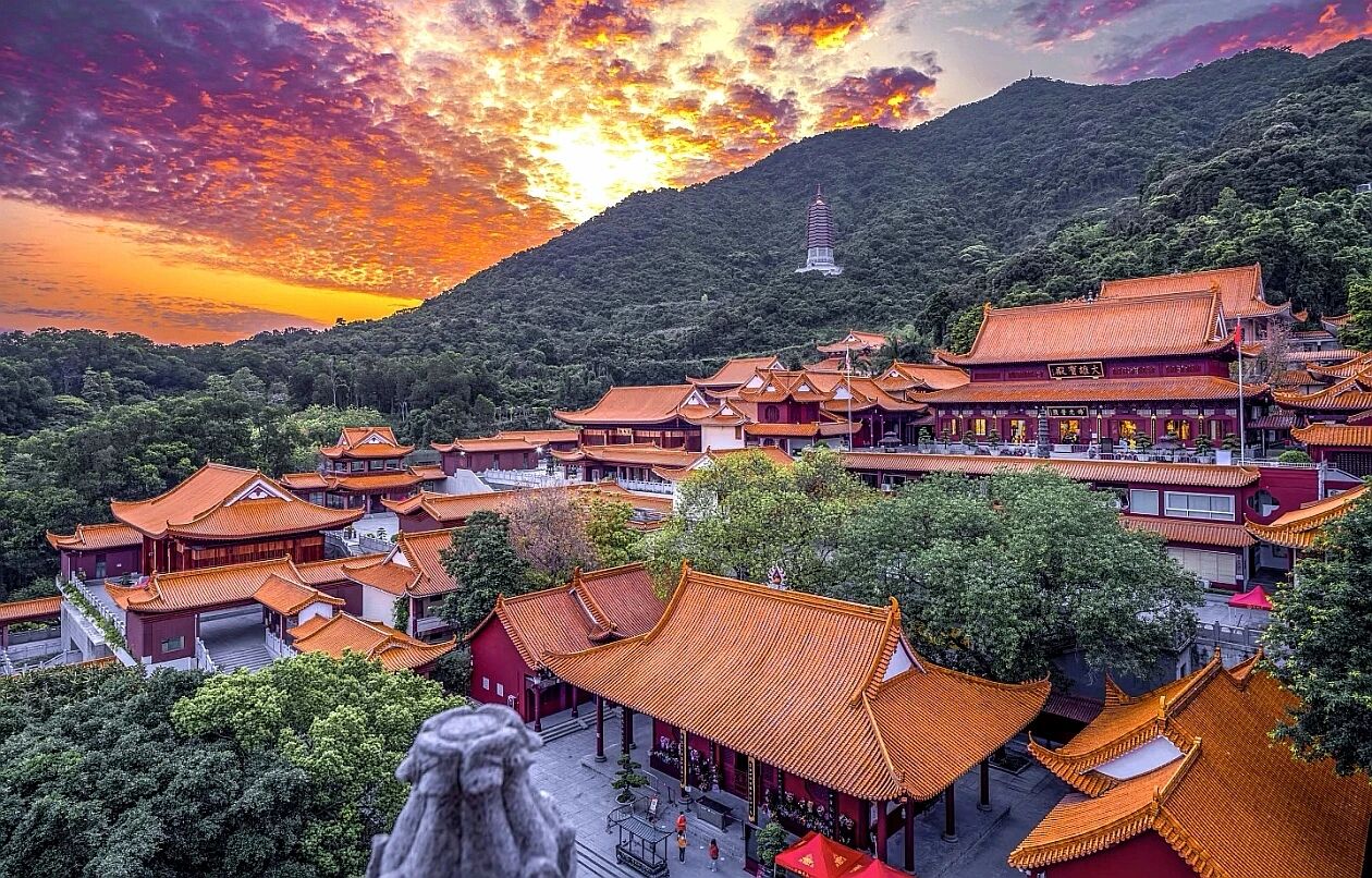 钝感力是治愈生活的良药