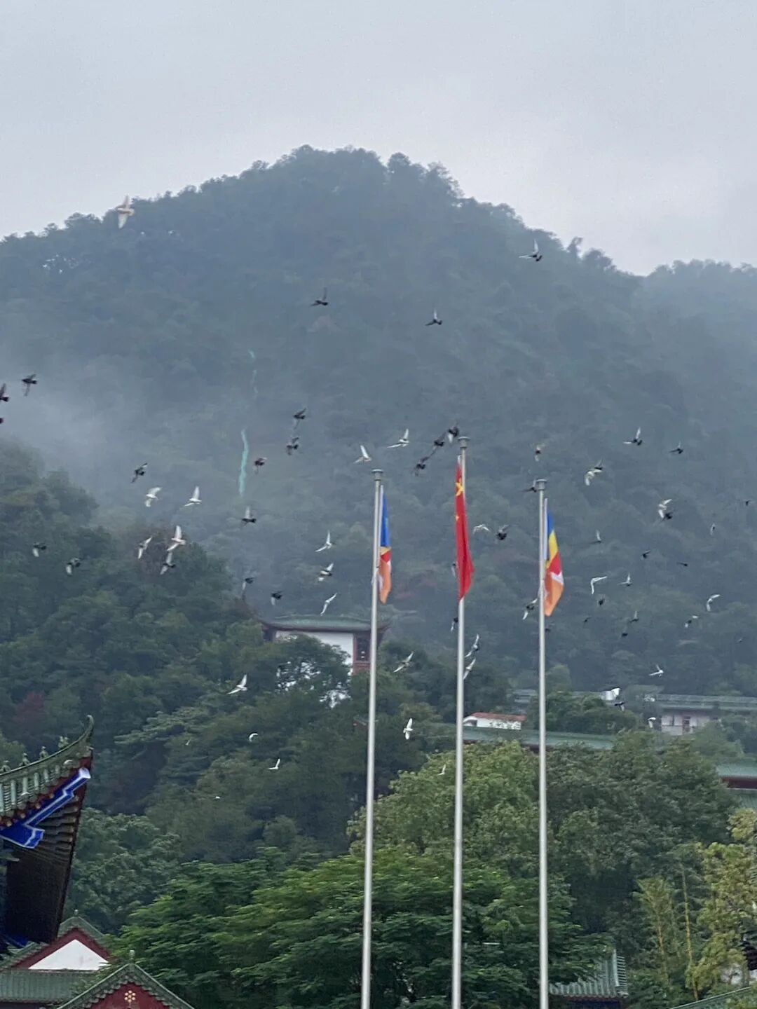 众生多求贪欲的背后是……