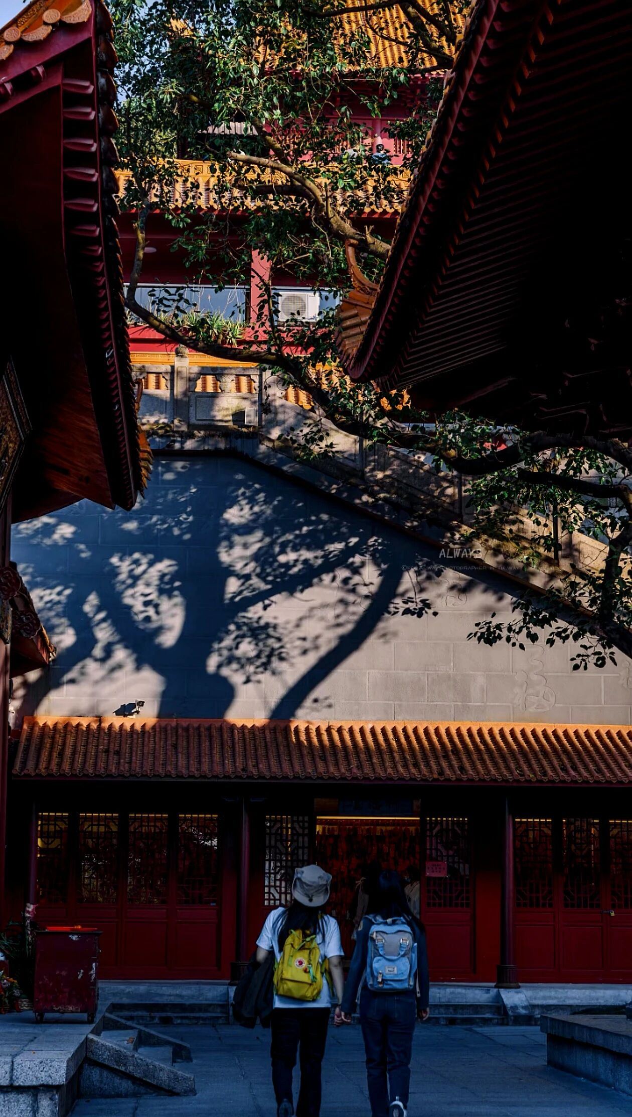 真正的精进要的是 “长久心”