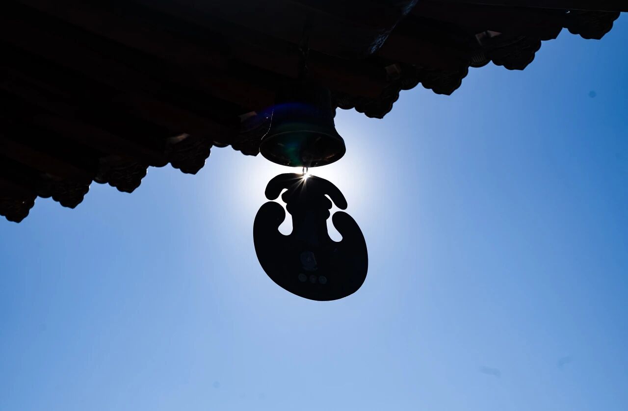 要束缚还是自由，选择很重要