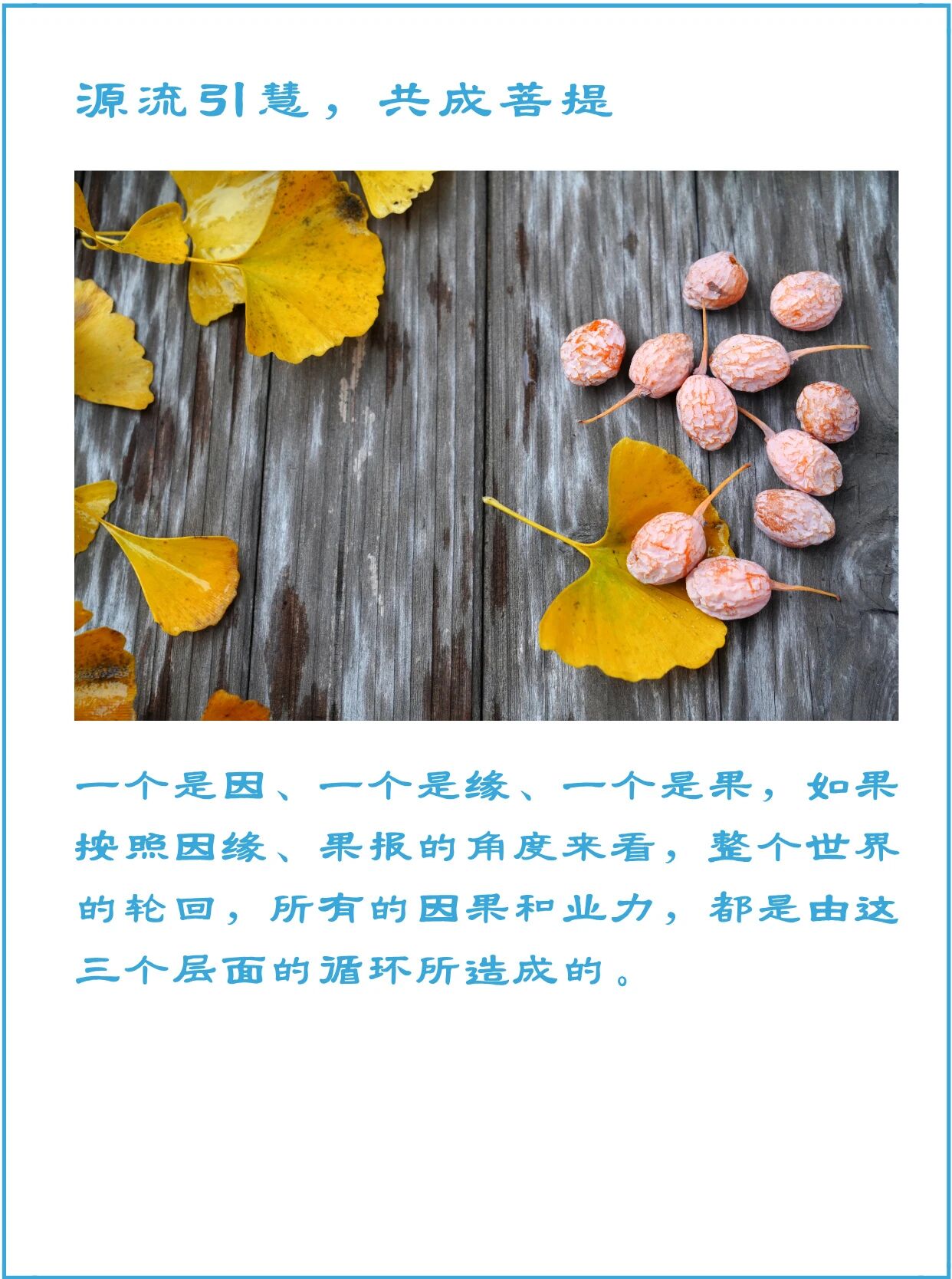 能作、所作和所受三者是何关系| 新禅风