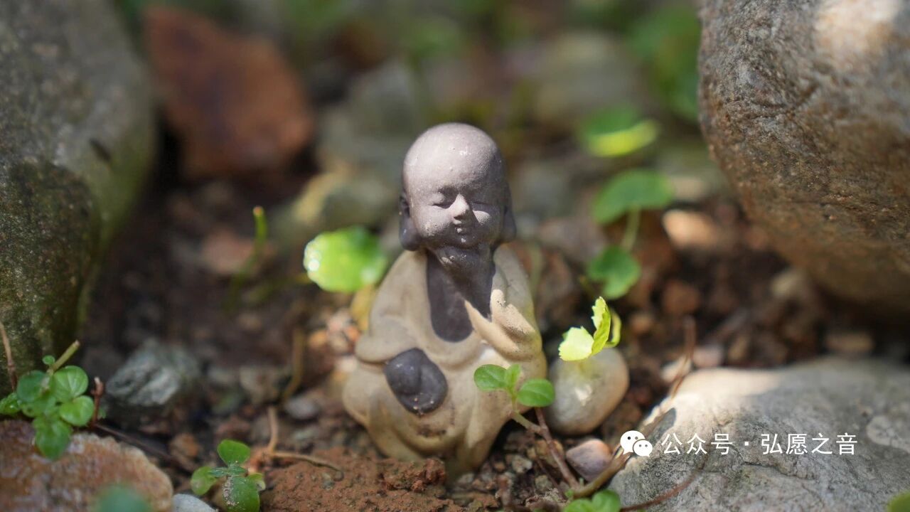 披甲精进，保护发心