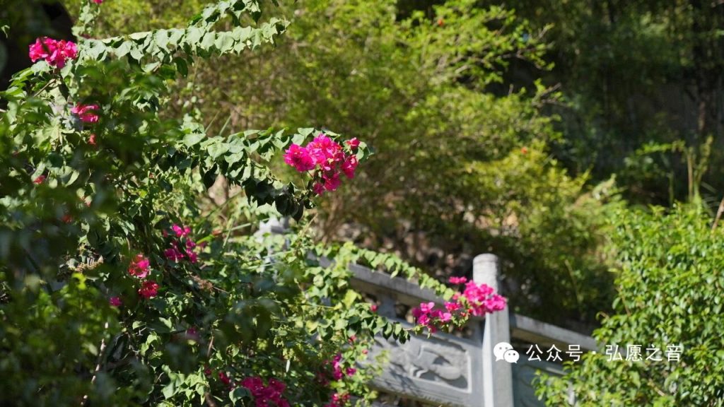 理解他人，善待自己