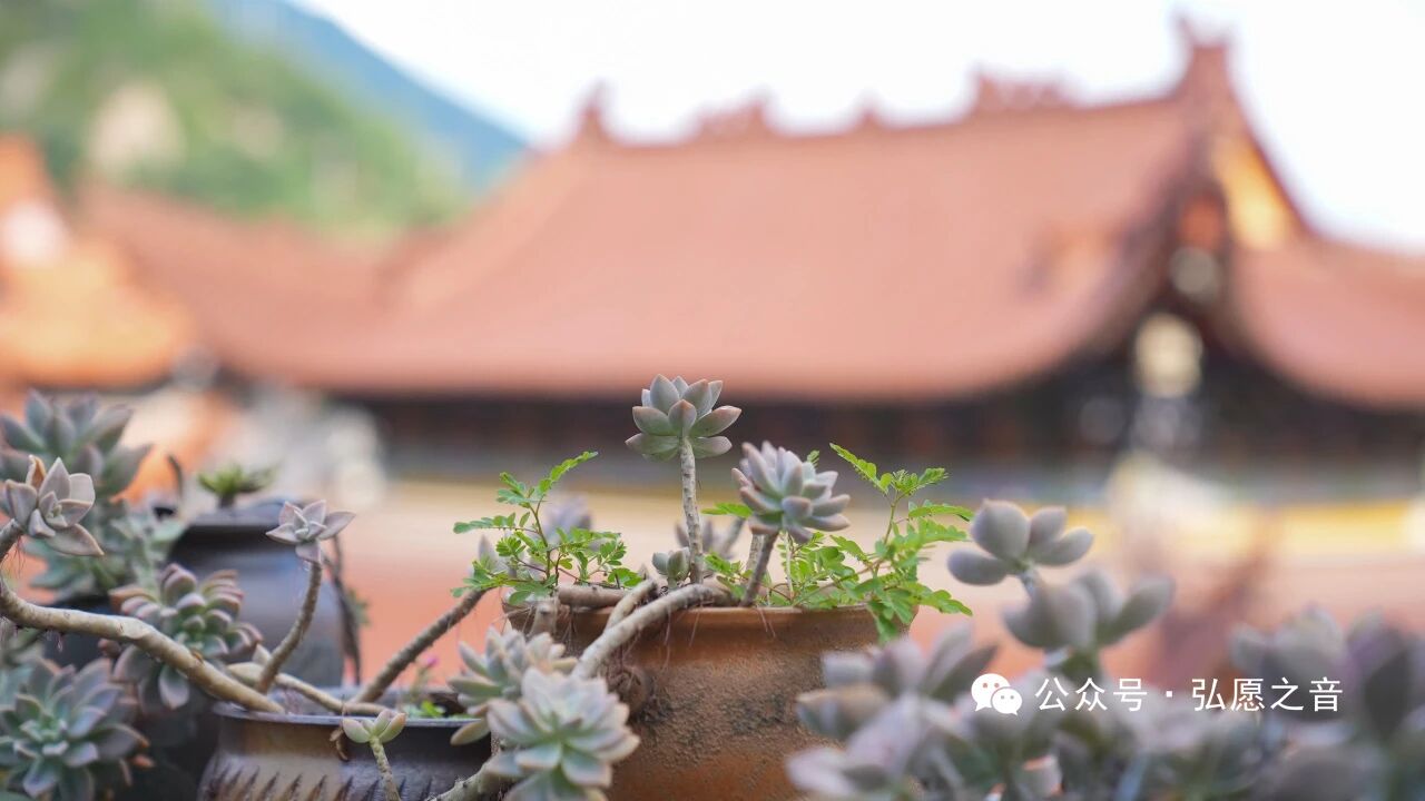 理解他人，善待自己