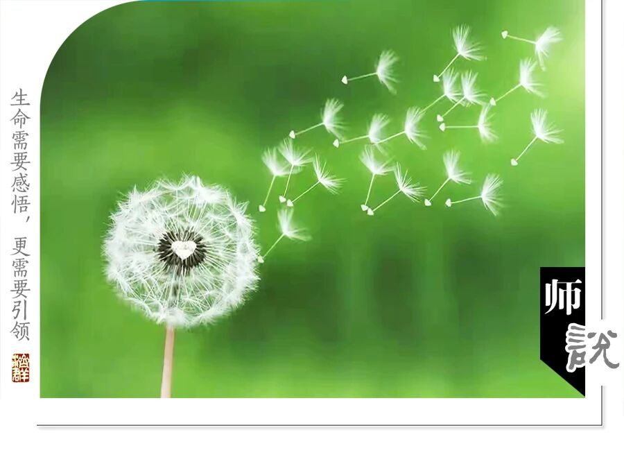 济群法师：你的利他心，到了哪一层？